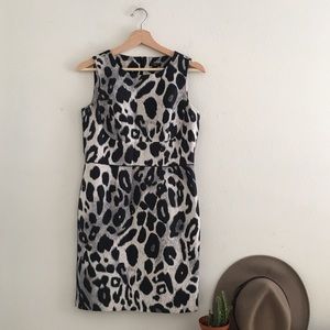 Ann Taylor Leopard Print Dress